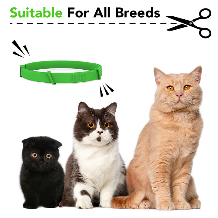 8 Months All Natural Flea and Tick Collar for Cats
