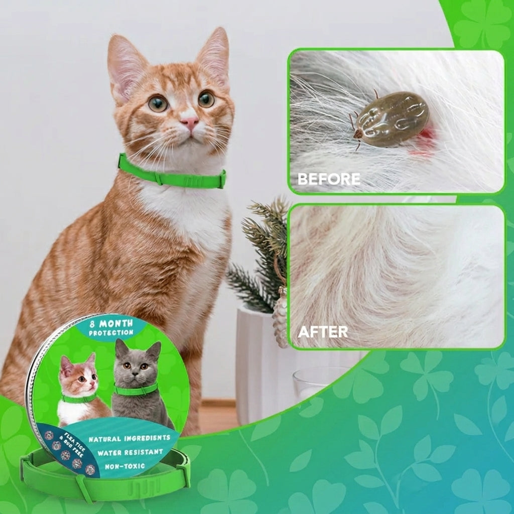 8 Months All Natural Flea and Tick Collar for Cats