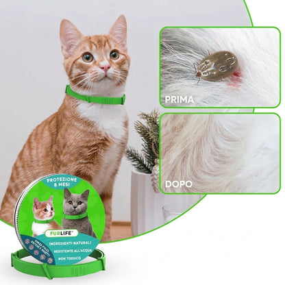 8 Months All Natural Flea and Tick Collar for Cats
